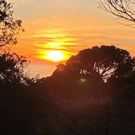 A Pineta Corsa Maison d'hôtes