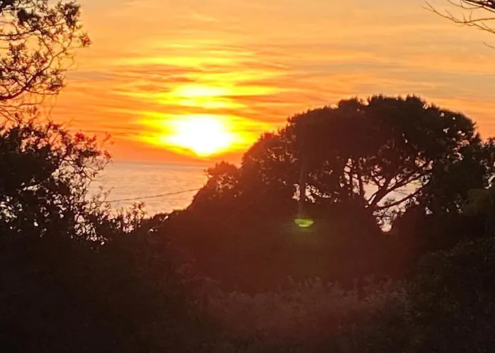 A Pineta Corsa Gasthof