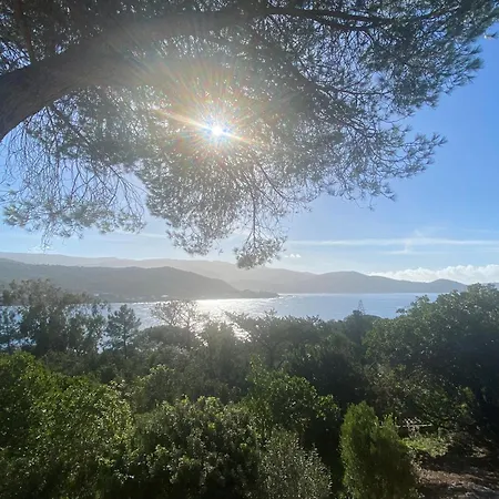 A Pineta Corsa Гостевой дом