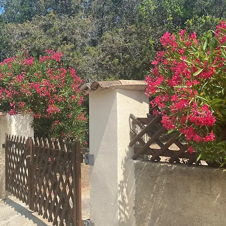 A Pineta Corsa Guest house