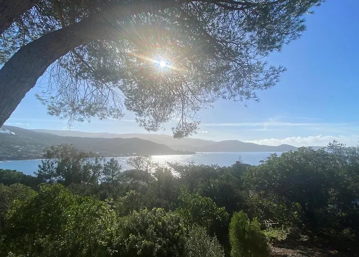 A Pineta Corsa בית הארחה