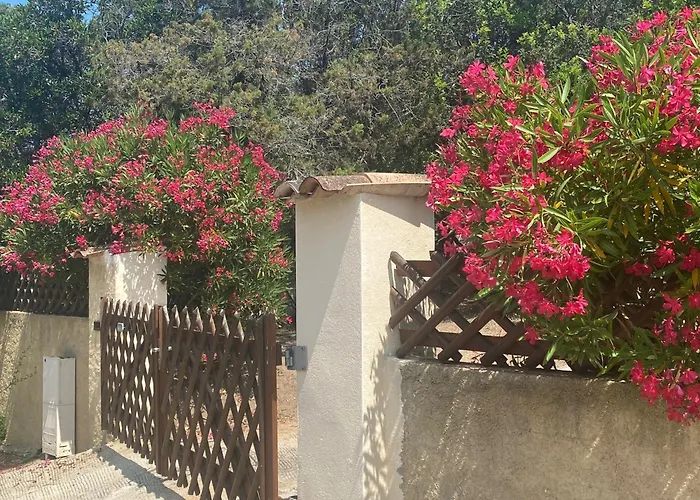 A Pineta Corsa בית הארחה